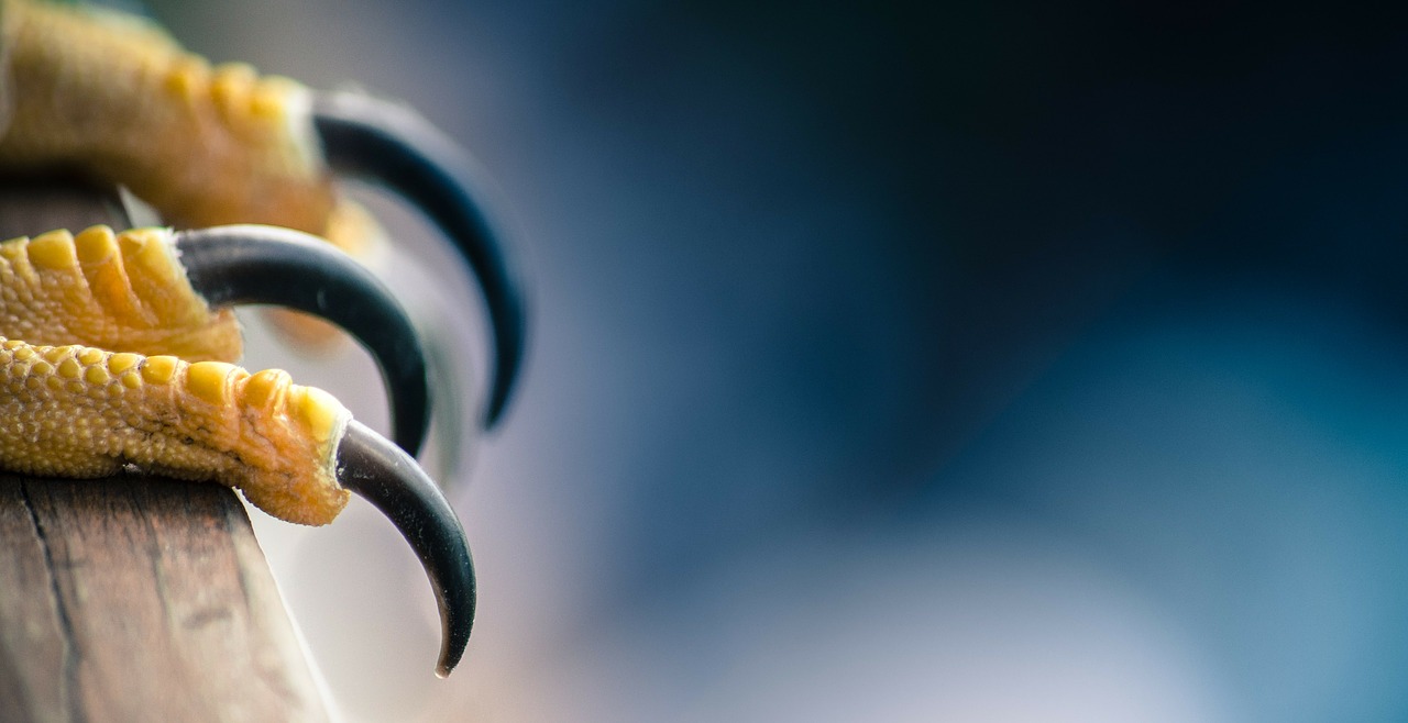 X Menアポカリプスにウルヴァリンがカメオ出演